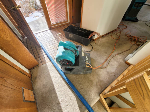 Best Water damage contractors near me  in Thedral City, CA