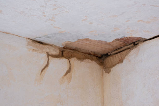 Trusted Cathedral City, CA Water damage restoration Experts
