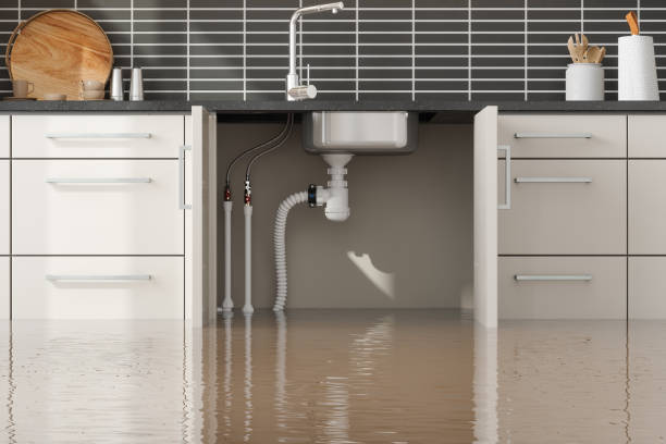 Best Flood restoration services  in Thedral City, CA